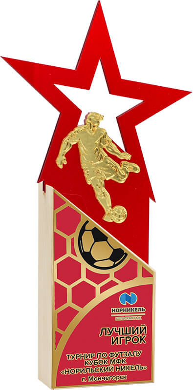 Акриловая награда с сублимационной печатью футбол