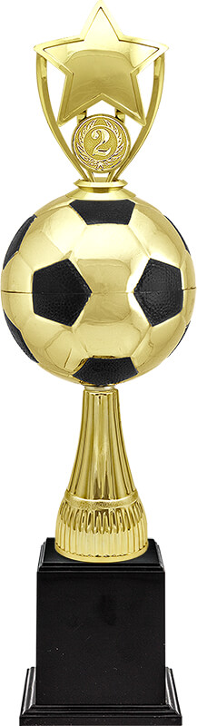 Награда-кубок Рауль 2 место