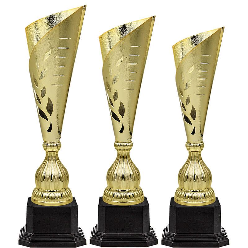 Кубок Хайли