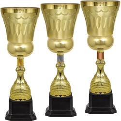 Кубок Штольц (под бронзу)