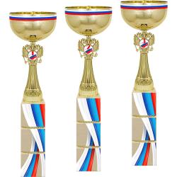 Кубок Премьер 3 место Кубок Премьер 3 место