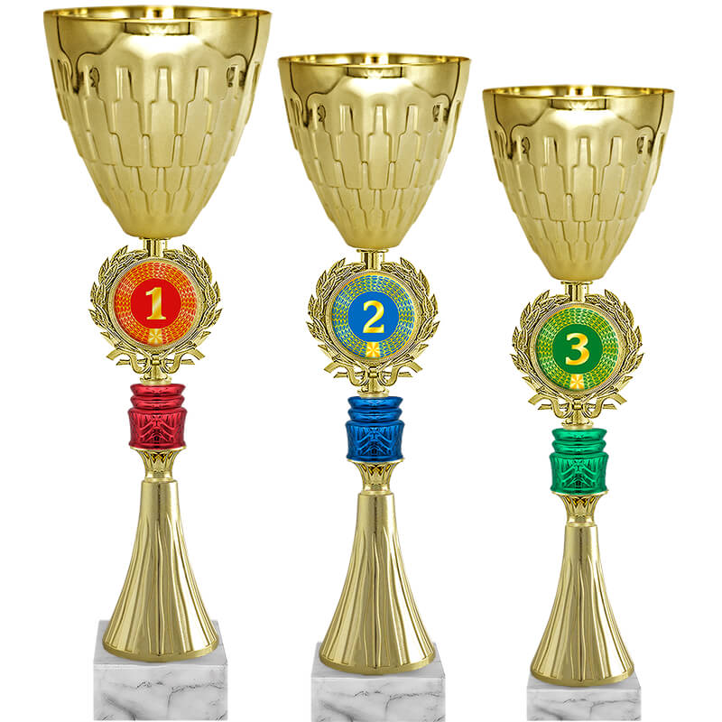 Кубок Радослав 3 место