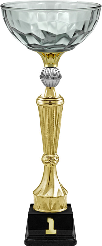 Кубок Нуар 1 место