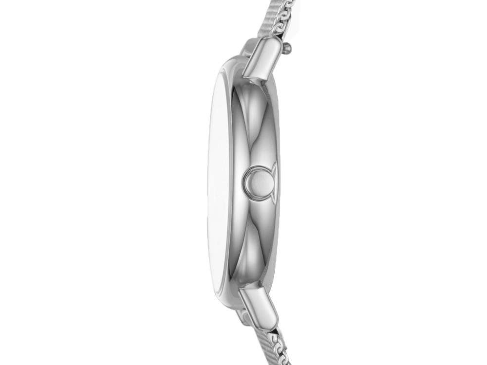 Часы наручные, женские. Skagen