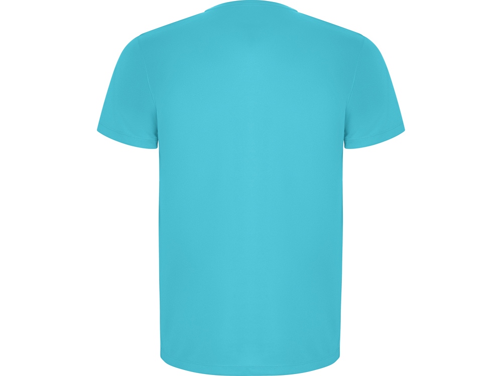 Футболка Imola мужская, бирюзовый