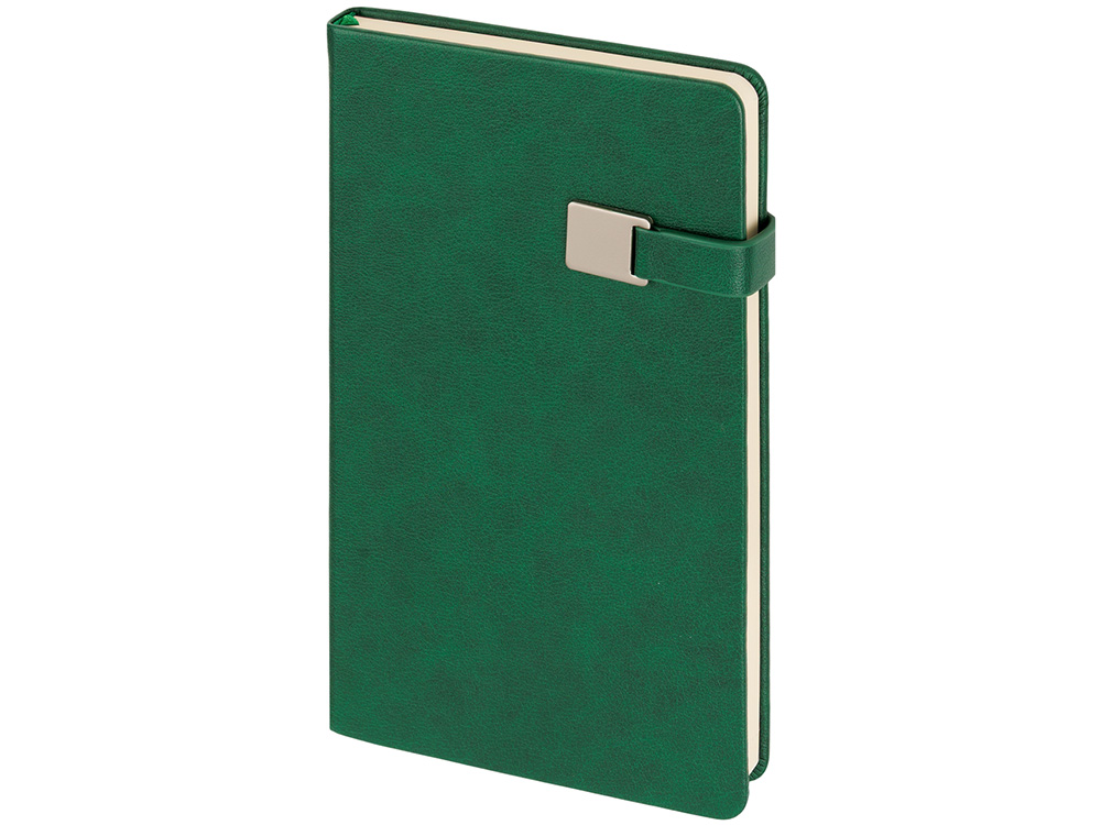 Ежедневник недатированный А5 Premier, зеленый
