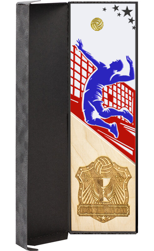 Акриловая награда волейбол