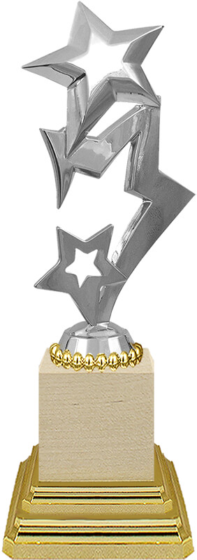 Награда Звезды (под серебро)