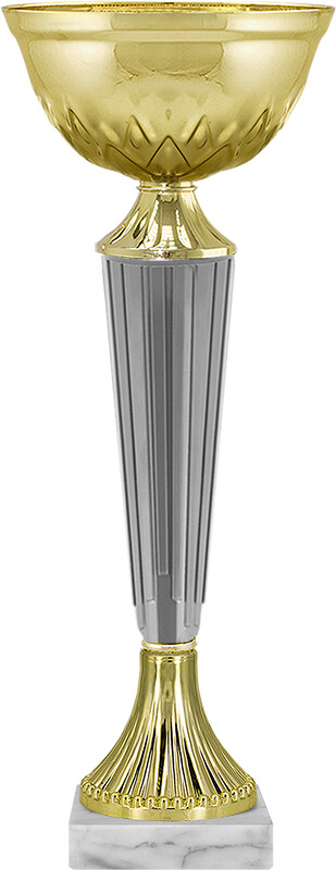 Кубок Камрон