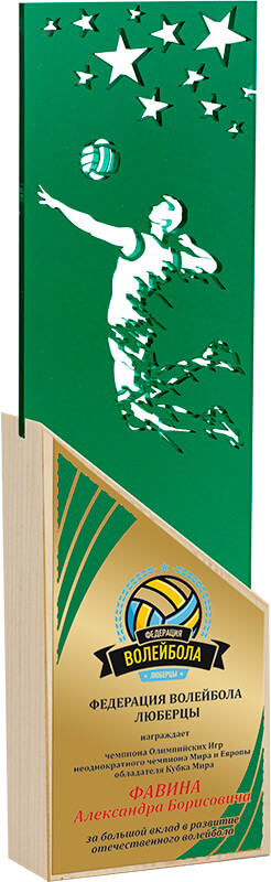 Акриловая награда с сублимационной печатью волейбол