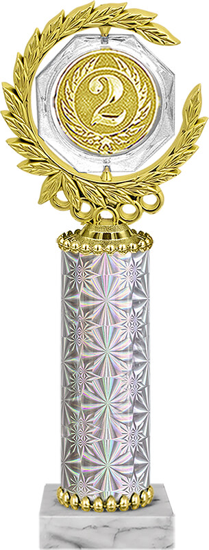 Награда 2 место Награда 2 место