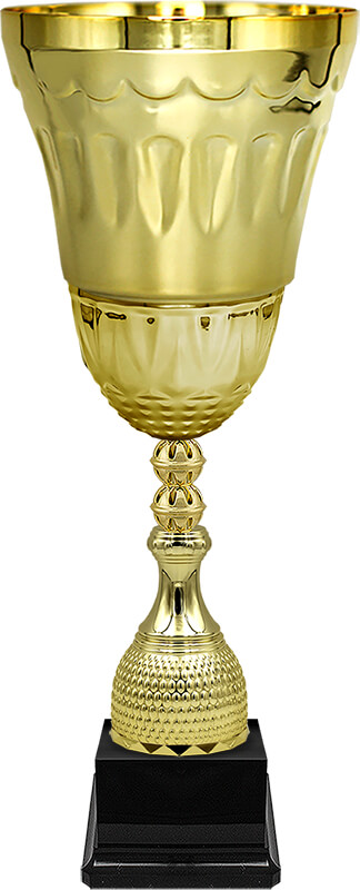 Кубок Диксон