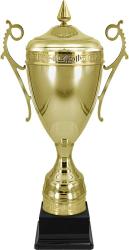 Кубок Амур Кубок Амур