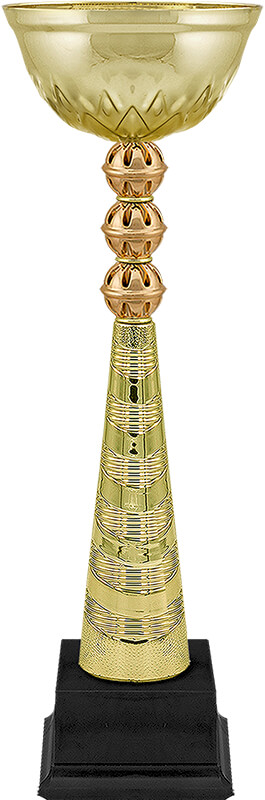 Кубок Винни (под бронзу)