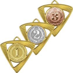 Медаль Шервинта 3 место Медаль Шервинта 3 место