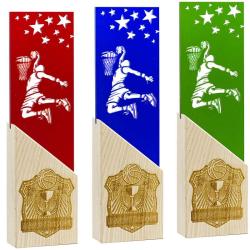 Награда баскетбол