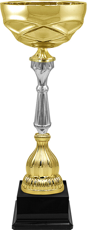 Кубок Тэмпли
