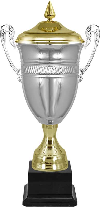 Кубок Майкл