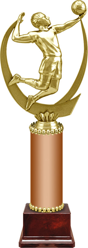 Награда Волейбол