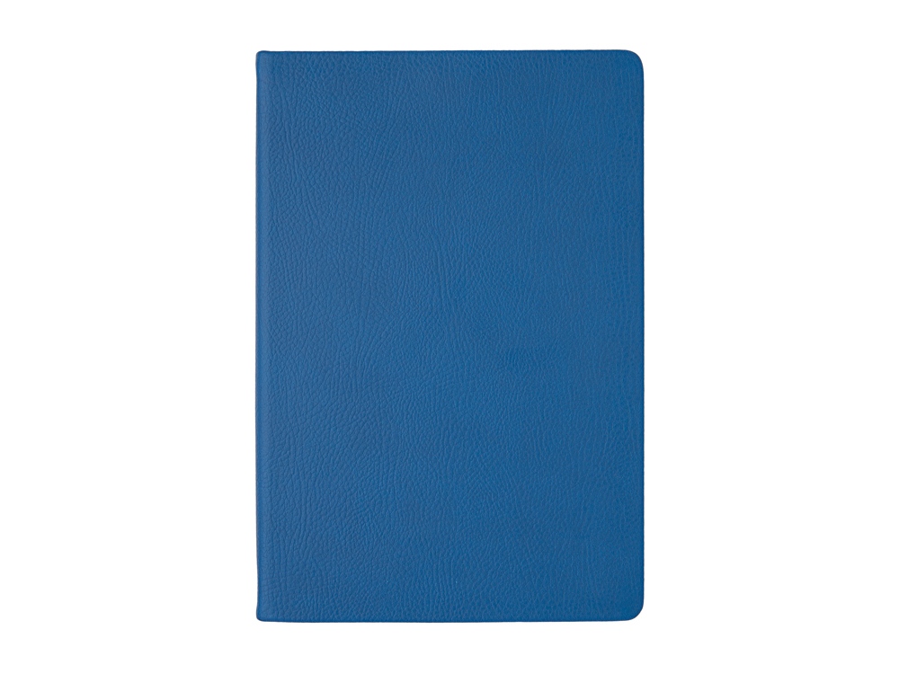 Ежедневник А5 датированный Megapolis Nappa на 2026, синий