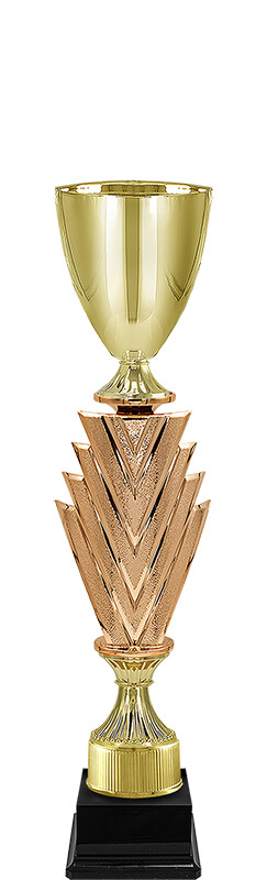 Кубок Чарити (под бронзу)