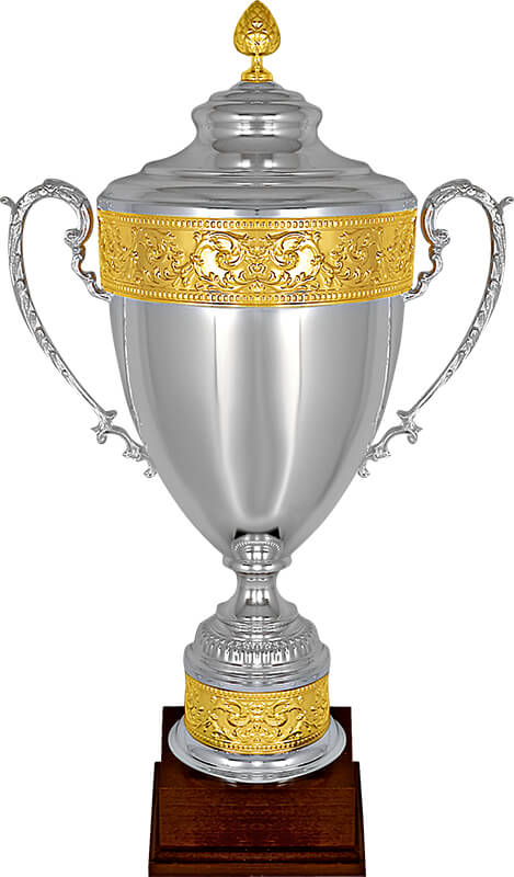Кубок Амстердам