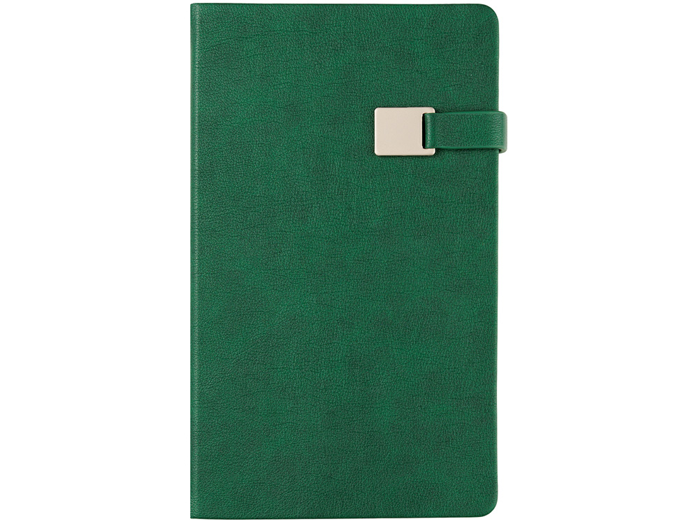 Ежедневник недатированный А5 Premier, зеленый