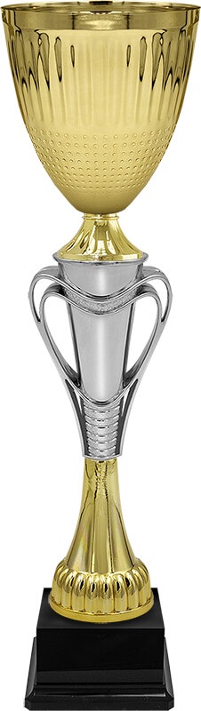 Кубок Тотти