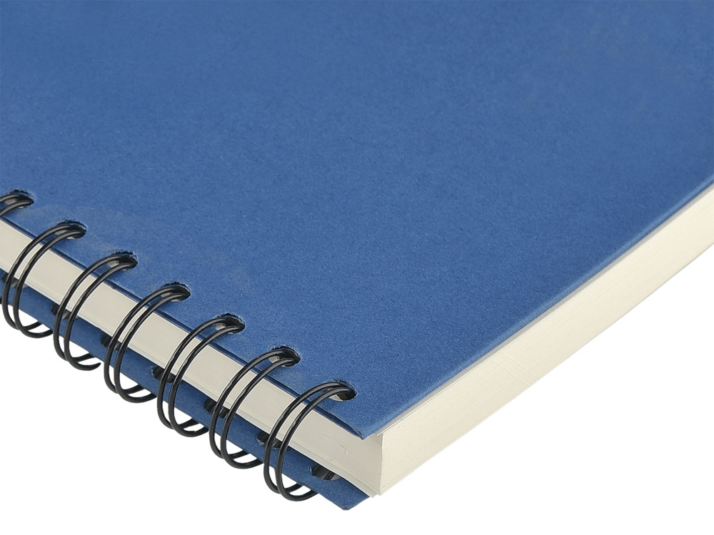 Ежедневник недатированный на гребне А5 Pragmatic, синий (Р) Ежедневник недатированный на гребне А5 Pragmatic, синий (Р)