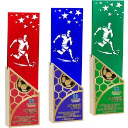 Акриловая награда с сублимационной печатью футбол