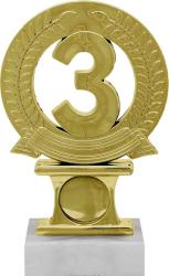 Награда 3 место