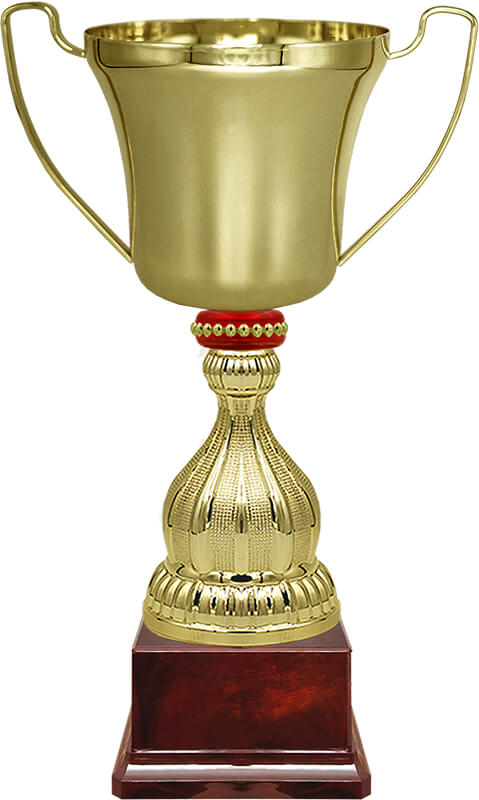 Кубок Миклухо