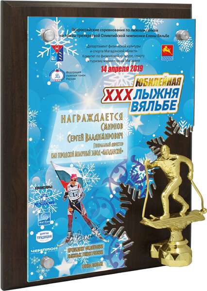 Вариант комплектации плакетки №920 УФ0 лыжный спорт