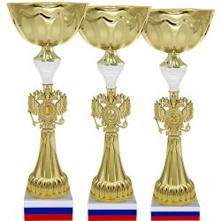 Кубок Бригадир 1 (1 место, белый) Кубок Бригадир 1 (1 место, белый)