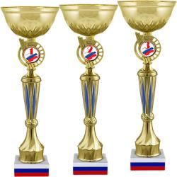 Кубок Аврора 2 место Кубок Аврора 2 место