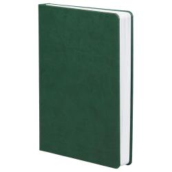 Ежедневник Basis, датированный, зеленый Ежедневник Basis, датированный, зеленый